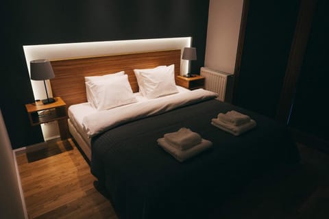 Grey Apartment Kołowa Apartment in Krakow