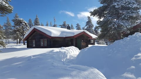 Property building, Winter