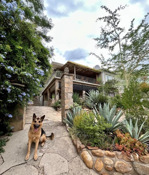 Property building, Garden, Pets, Garden view