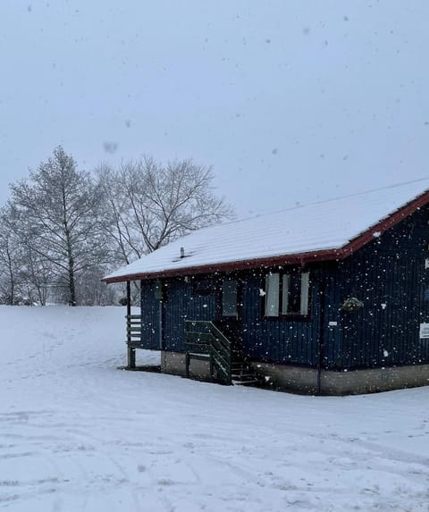 Logierait Pine Lodges Nature lodge in Scotland