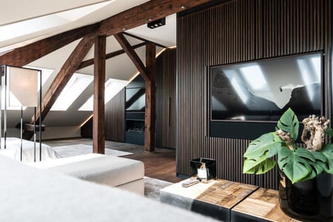 Le Bijou LQ80 Penthouse with Terrace Apartment in Zurich City