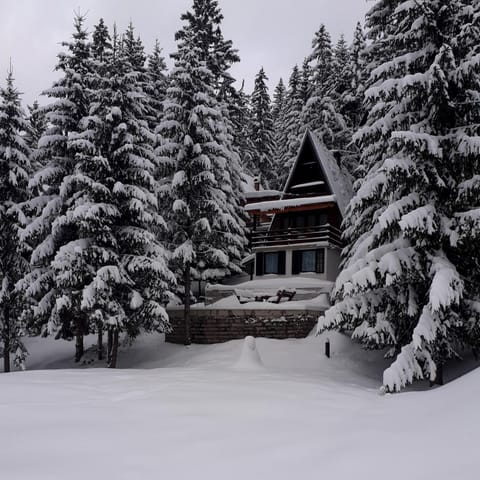 Holiday Home Dzejla House in Federation of Bosnia and Herzegovina