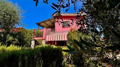 Property building, Garden view