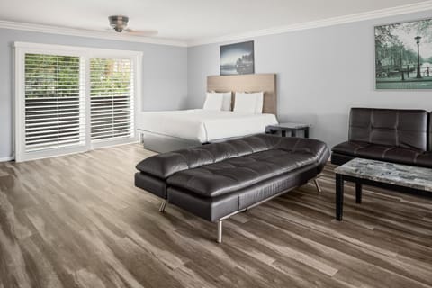 Bed, Living room