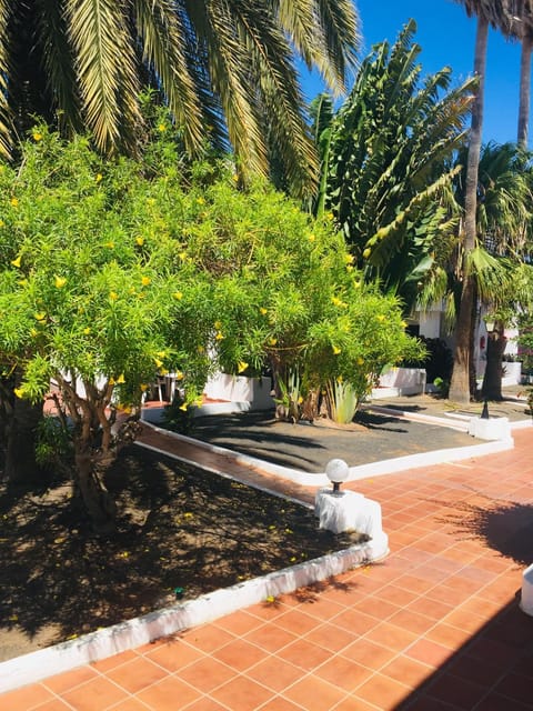 Apartamentos Maribel Apartment in Puerto del Carmen