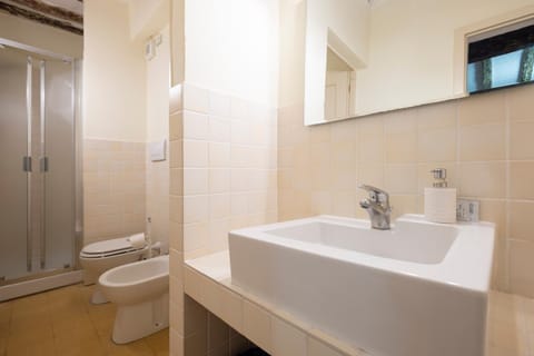 Shower, Toilet, Bathroom, bidet