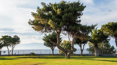 Facade/entrance, Garden, Beach, Sea view