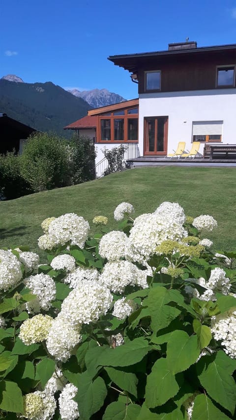 Garden view, Mountain view