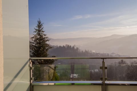 Balcony/Terrace, Mountain view