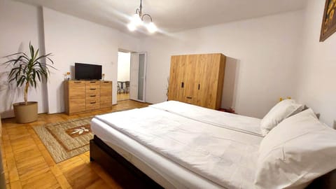 The Home Apartment in Serbia