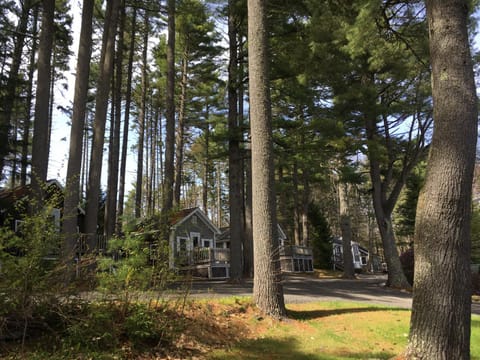 Facade/entrance, Natural landscape