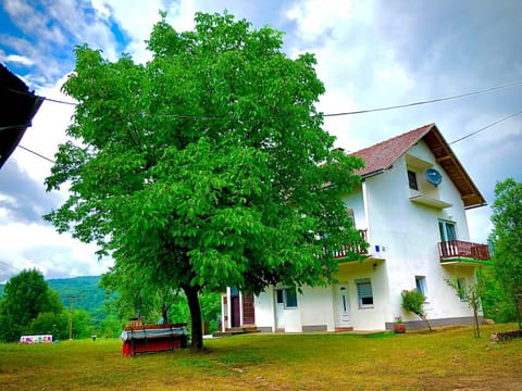 Property building, Garden, Garden