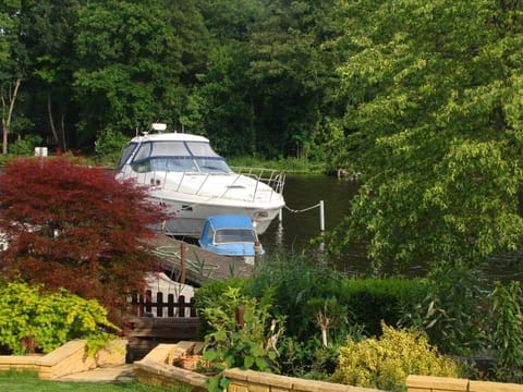 Lake view