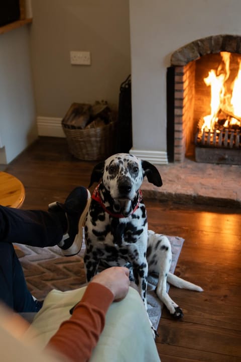 Tully Mill Cottages House in Leitrim, Co. Leitrim, Ireland