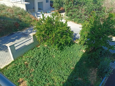 Inner courtyard view