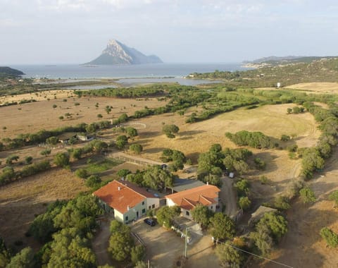 Bird's eye view, Sea view