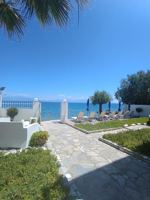Day, Natural landscape, Garden, Beach, Garden view, Sea view, sunbed