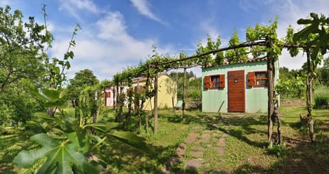 Property building, Day, Garden, Garden view