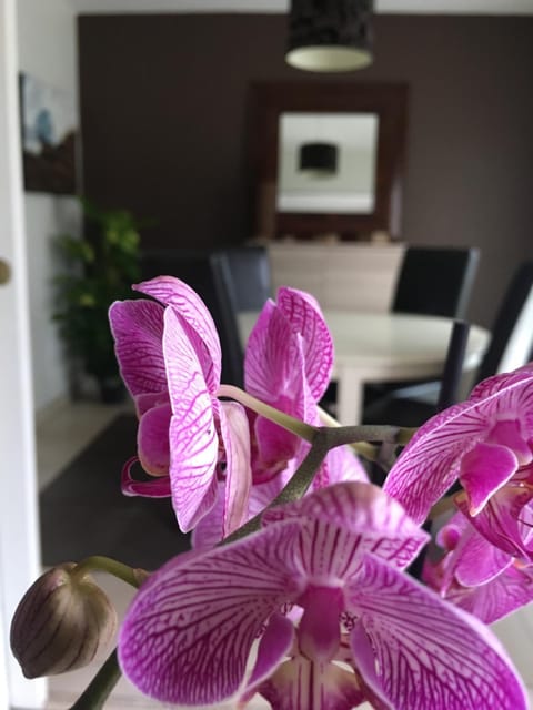 Decorative detail, Dining area