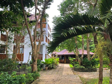 Property building, Day, Garden view