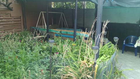 Day, Summer, Garden, On site