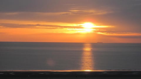 Summer, Sunset
