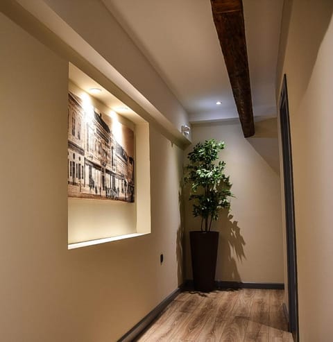 Stari Slon Bed and Breakfast in Vojvodina