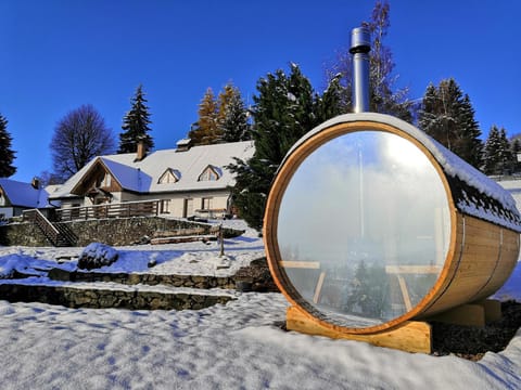 Property building, Winter, Sauna