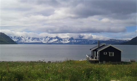 Lake view