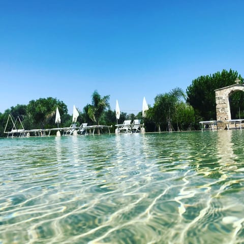 Summer, Garden, Pool view, Pool view, Swimming pool, Family