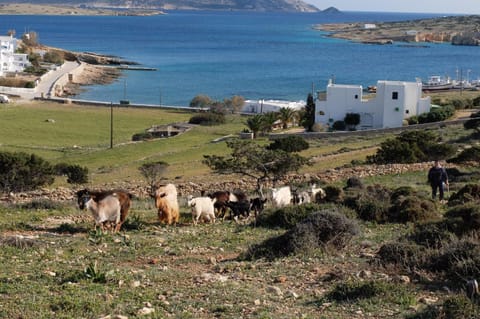 Alkionides Studios Apartment hotel in Koufonisia