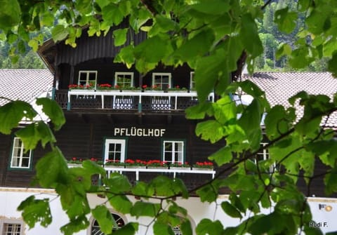 Ferienwohnungen Pflüglhof Apartment in Carinthia, Austria