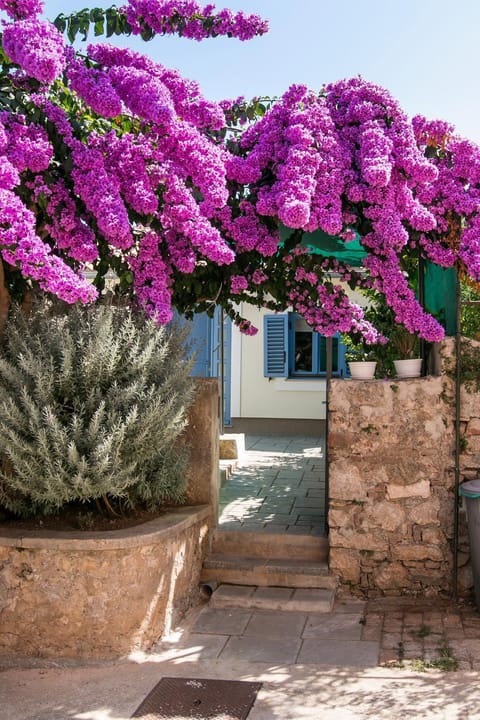 Patio, Facade/entrance