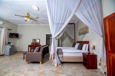 Bed, TV and multimedia, Photo of the whole room