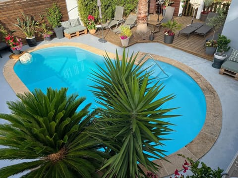 Swimming pool, sunbed