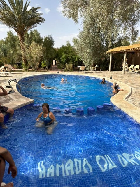 Day, People, Natural landscape, Communal kitchen, Pool view, Swimming pool, Swimming pool, Swimming pool, children, group of guests, kitchen, kitchen