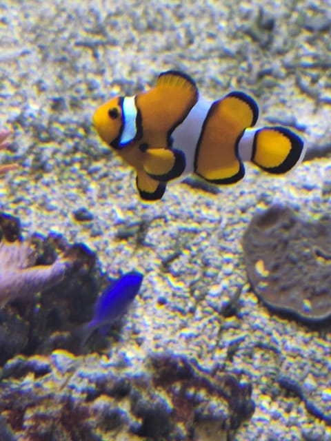 Leonilys Apartment in Hauts-de-France