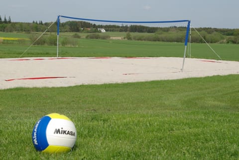 Other, Sports, Sports