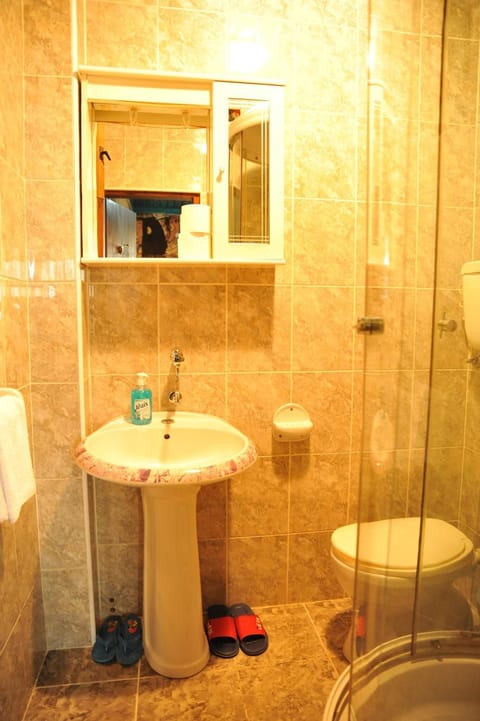 Guesthouse Prenociste Faraon Bed and Breakfast in Zlatibor District, Serbia