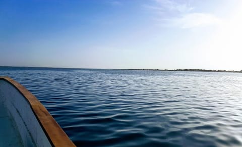Activities, Fishing, Beach, Landmark view, River view, Sea view