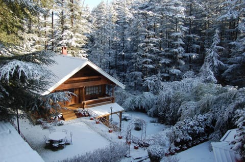 Toilet, Bathroom, TV and multimedia, Bedroom, Swimming pool, cot