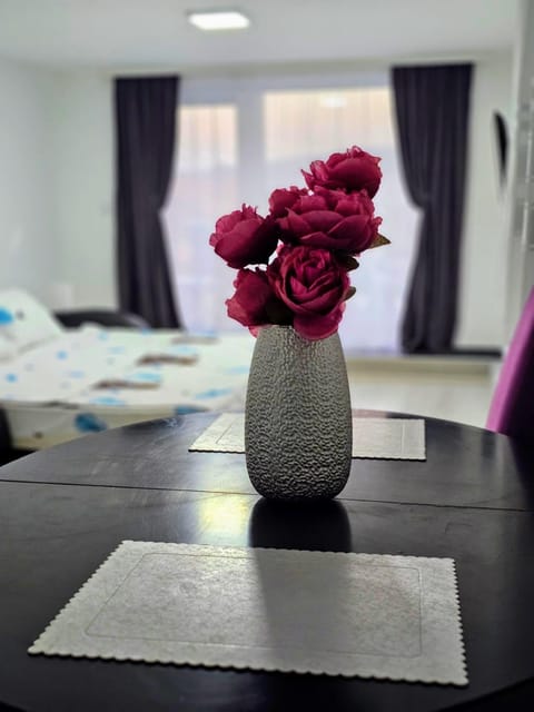 Studio Dana Bed and Breakfast in Serbia