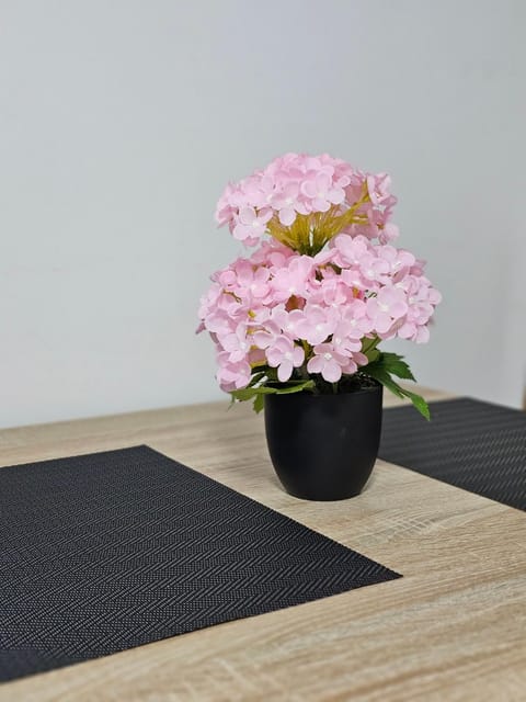 Studio Dana Bed and Breakfast in Serbia