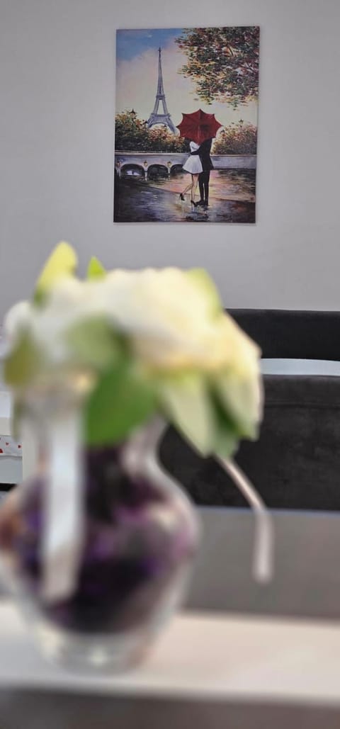 Studio Dana Bed and Breakfast in Serbia