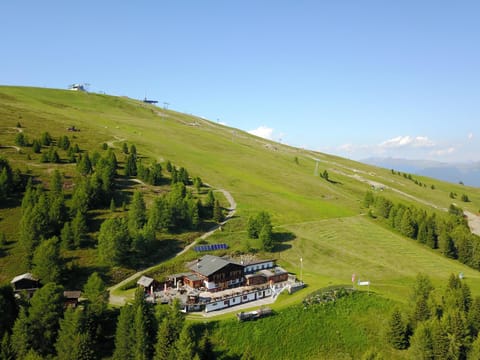 Bird's eye view, Summer