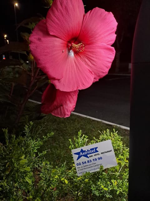 Astrotel Romorantin-Lanthenay Soirée étape Hotel in Centre-Val de Loire