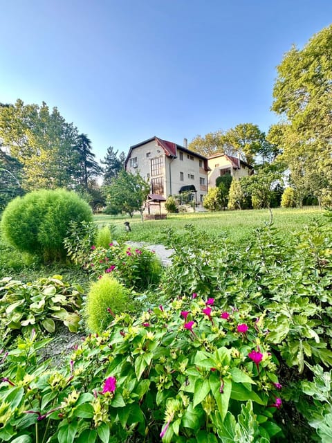 Property building, Natural landscape, Garden