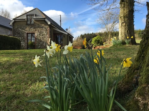 Property building, Spring, Day, Garden, On site, Garden view