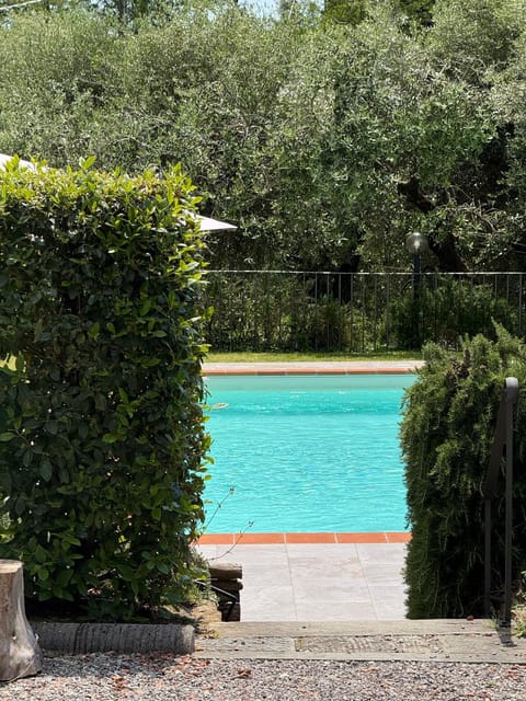 Spring, Day, Natural landscape, Garden, Garden view, Pool view, Swimming pool