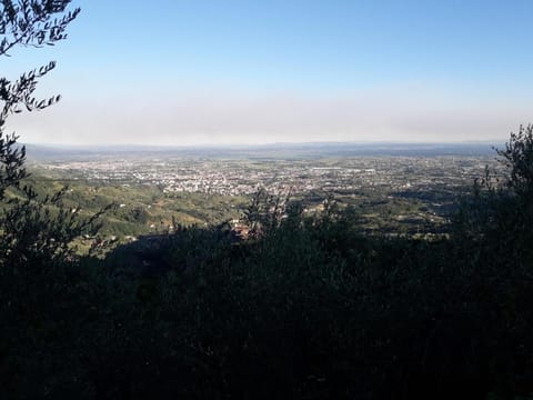 Nearby landmark, Neighbourhood, City view